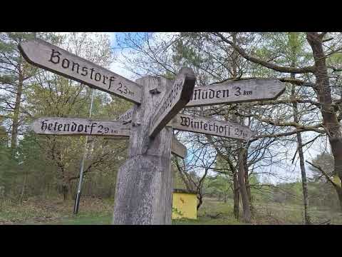 25 04 2025 Faßberg bis Soltau Verfolgung der Heidschnucken
