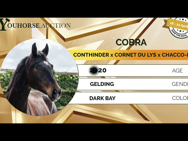 Cobra