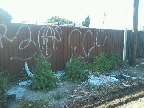 N.O.T.S TRUEBLUE !!!! NIGGAS OF THE STREET