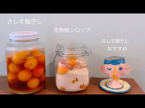 ちゃちゃっと冷凍梅でさしす梅干しと梅シロップを仕込みました！