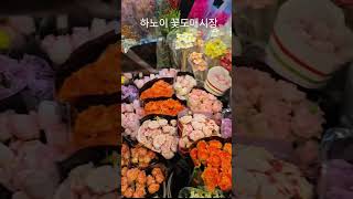 하노이 꽃도매시장.주소:꽝바 플라워마켓( Quảng Bá Flower Market) Nộ236 Đ. Âu C…