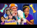 Blippi And Meekah S Dino Puppy Talent Show