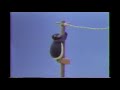 Pingu Has An Idea X2