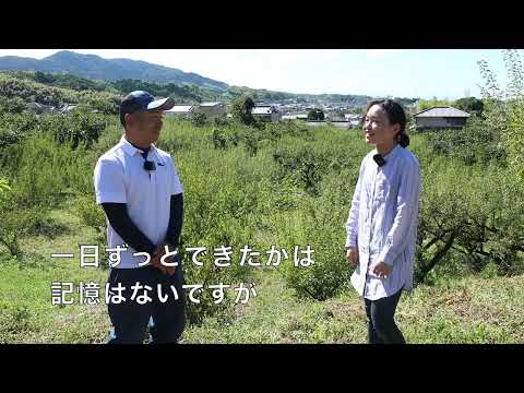 ようこそ城陽へ！特産物紹介、梅（府大生in Joyo）