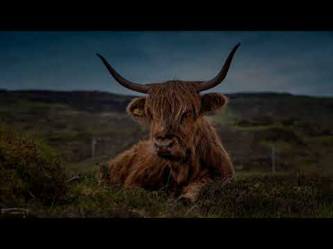 A Pause to Reflect around a Burns Night theme