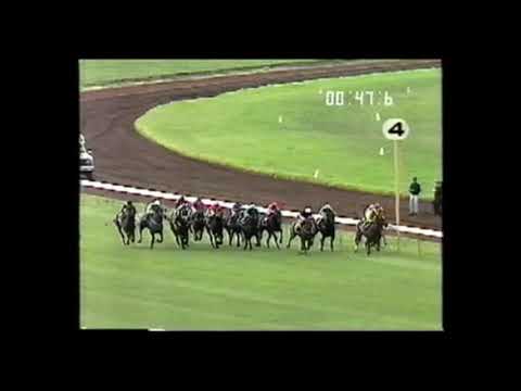 1991 Newmarket Handicap - Shaftesbury Avenue