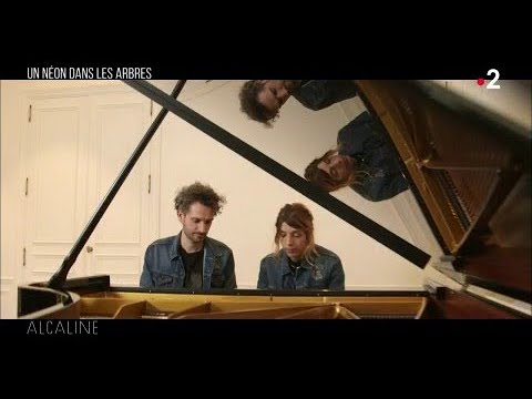 Alcaline, Le Sujet 28/03 - Un Néon dans les arbres