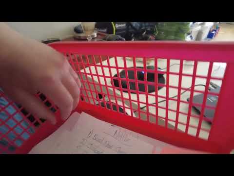 MongoTV_7023 - HVAD JEG SER PÅ NETFLIX - Del 585 - Star Trek - 1968