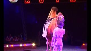 Enis Dell'Acqua - Animali esotici