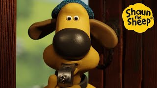 Download lagu Drum Roll Please!🐑 Shaun the Sheep 🐑  - Cartoons for Kids 🐑 Season 5 All Episodes in Full [2 hour] mp3