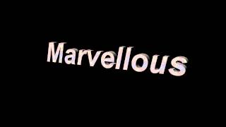 The Lightning Seeds - Marvellous