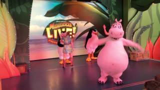 Madagascar Live Singing and Dancing Hippopotamus Song at Dreamworld Gold Coast Queensland Australia