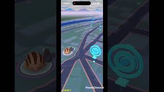 ちっちゃいウリムーは可愛い #pokemongo #pokemon #ポケgo #pokémon