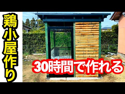 庭のどこに鶏小屋を置きますか？最適な場所を選択するための 5 つのヒント  庭園