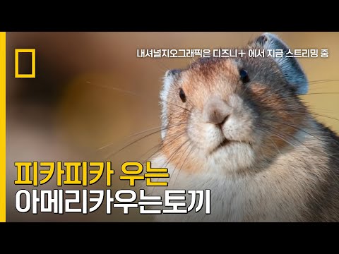 아이콘