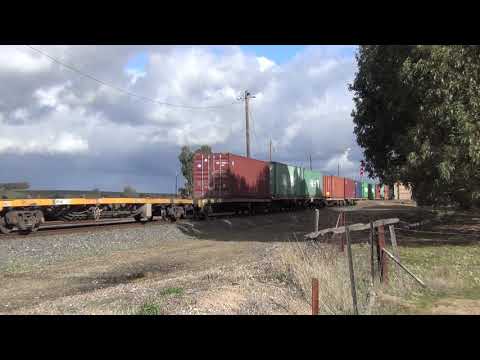 BL31 & XR558 with Merbein to Melbourne Frieghter at Maroona Vic. 21.6.2019