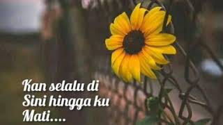 Download lagu Story wa 30 detik lagu: tenanglah sayang mp3 Download lagu Story wa 30 detik lagu: tenanglah sayang mp3