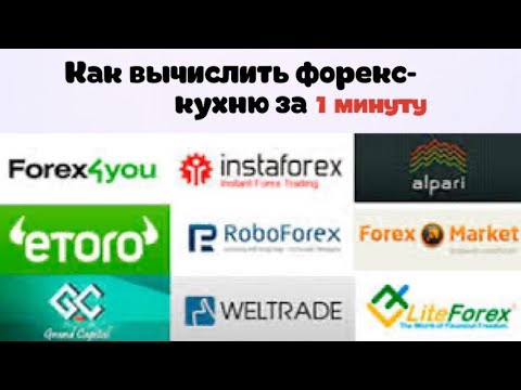 ❓Стоит ли работать с форекс-кухней❓ Рейтинг форекс брокеров в России