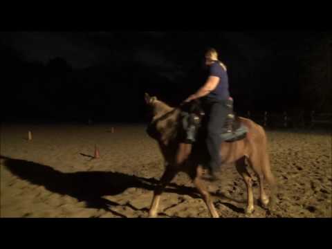 Diva Fundamentals-Clinton Anderson's The Method Yielding HQ Lateral & Vertical Flexion