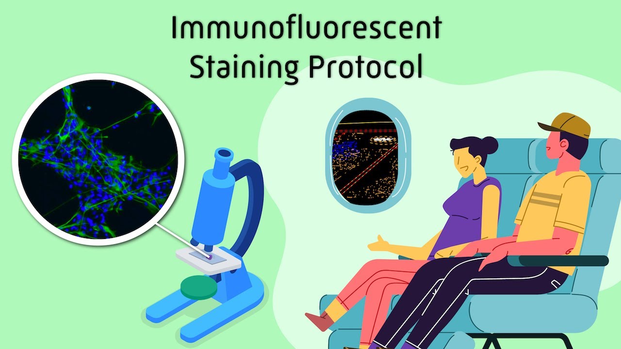 Immunofluorescent Staining Protocol