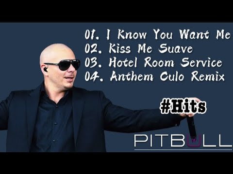 Pitbull Hit Songs || Album - Collection || Cloudy Vibez