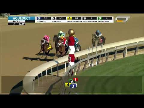 Instinctive Rhythm (#4) wins at Aqueduct 11/29/20