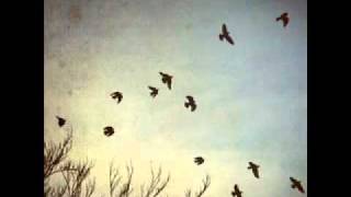 Blonde Redhead-Elephant Woman.