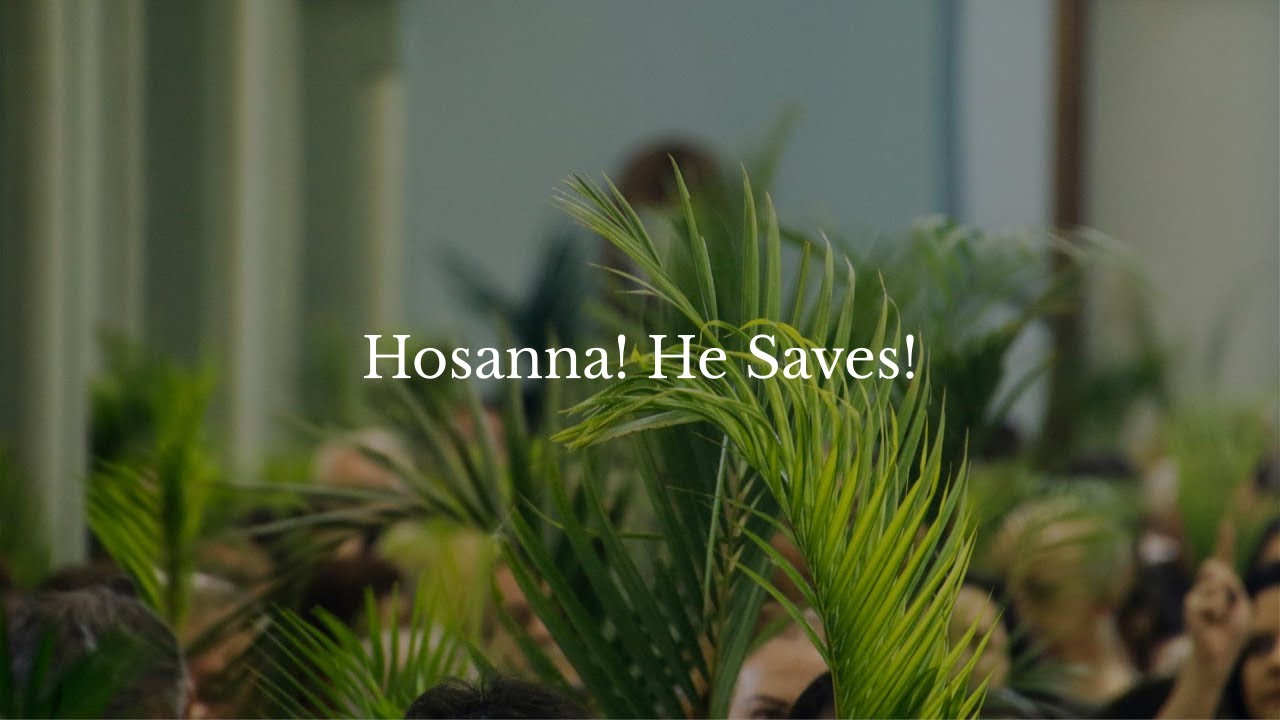 Hosanna! He Saves! - Stu Osborne