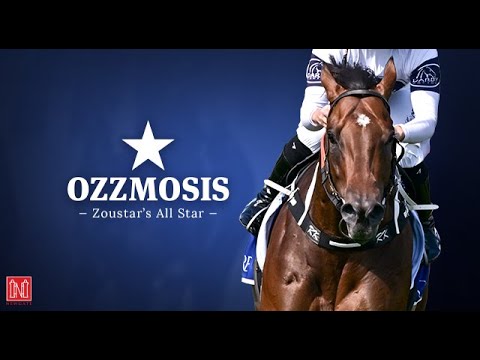 Ozzmosis - Group 1 Coolmore Stud Stakes