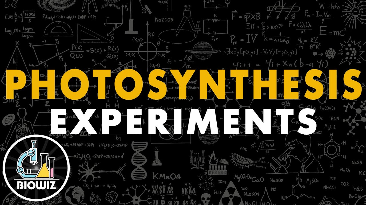 Photosynthesis - Experiments | Photosynthesis in Higher Plants Class 11 | NEET 2022