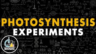 Photosynthesis - Experiments | Photosynthesis in Higher Plants Class 11 | NEET 2022