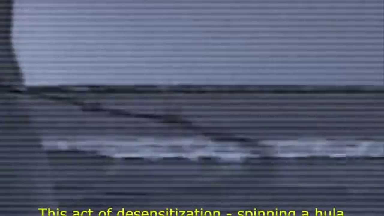 Afinidades Eletivas 4   Sigalit Landau