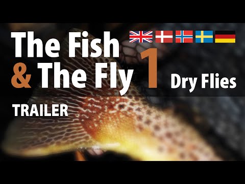 The Fish & The Fly 1 Dry Flies