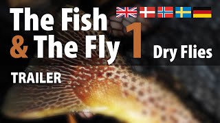 preview picture of video 'The Fish & The Fly 1 Dry Flies'