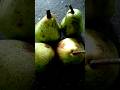 Aru Aru Recipe Aru Cooking Channel Nashpati Fruit Shorts Aru