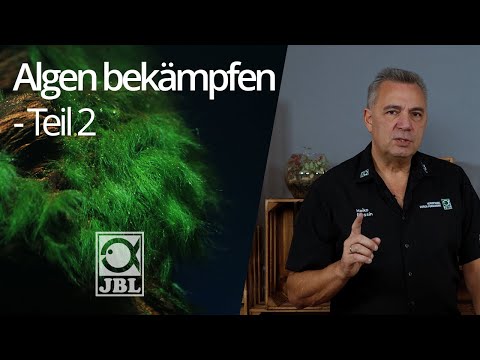 JBL TV #69 Algen im Aquarium - Ursachen und Problemlösung, Teil 2