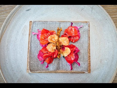 Noma: the brand new Vegetable Season, June 2019. All the dishes!