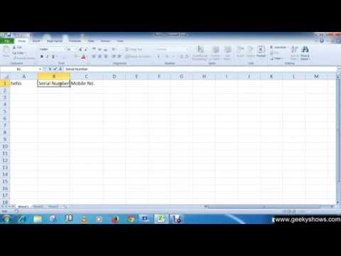 Microsoft Office Excel 2010 Editing Data