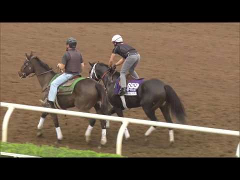 Tom's Ready "Happy and Fresh" Ahead of Dirt Mile