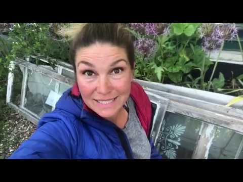 Skenså Skensådd för att få fritt från Ogräs vid Sådd Odla effektivt