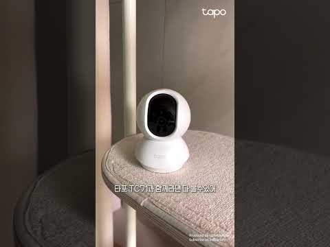 고화질 홈캠으로 우리 냥이들 훔쳐보며 월루하는 법 