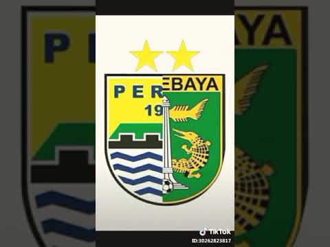 Lagu persebaya "bonek viking kita sodara"