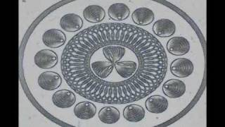 noise unit seclusion