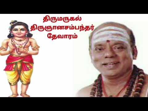 சடையாய் எனுமால்                சம்பந்தர் தேவாரம்