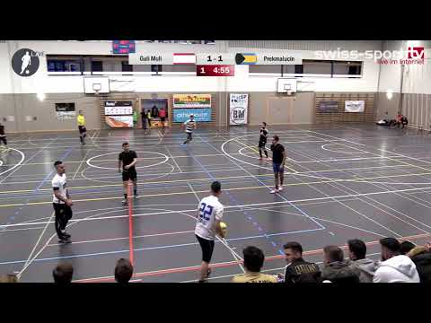 IMSC Day 2017 Gruppe H Guli Muli   FC Prekmalucin