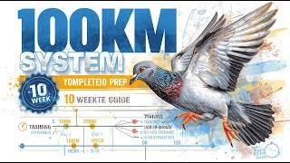 100KM Young Bird Preparation   Complete System