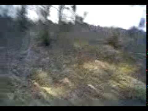 padure arsa la granitele Dolj-Gorj