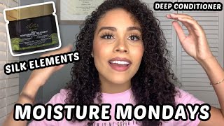 MOISTURE MONDAYS | SILK ELEMENTS AVOCADO AND SILK DEEP CONDITIONER| Daniela Carolina