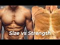 Strength Vs Hypertrophy The Science Of How To Build Muscle