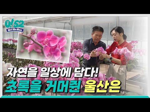 [생방송0!52] 초록을 거머쥔 울산은